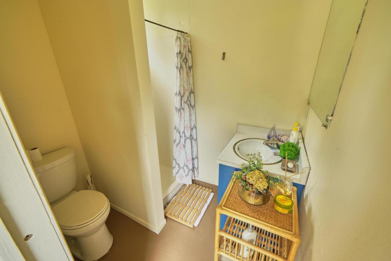 Rivers Breeze Relaxing Riverside Cabin With Private Suite Kayaks Healdsburg Extérieur photo